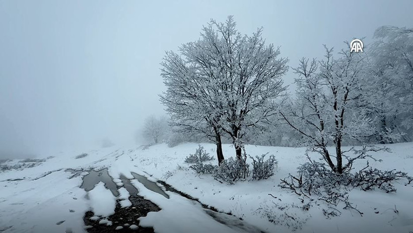 Ganos Dağı beyaza büründü: Ormanlar masal diyarına dönüştü - Resim: 4