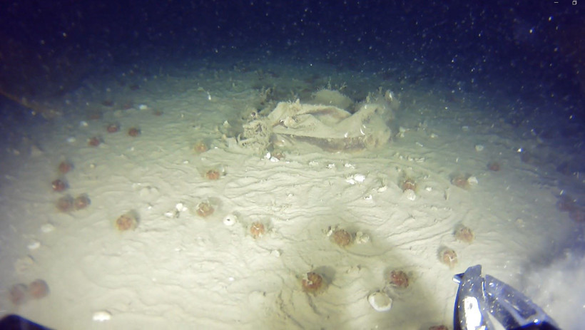 THY u&ccedil;ağının enkazına 51 yıl sonra ulaşıldı... O g&ouml;r&uuml;nt&uuml;ler paylaşıldı - Resim : 2