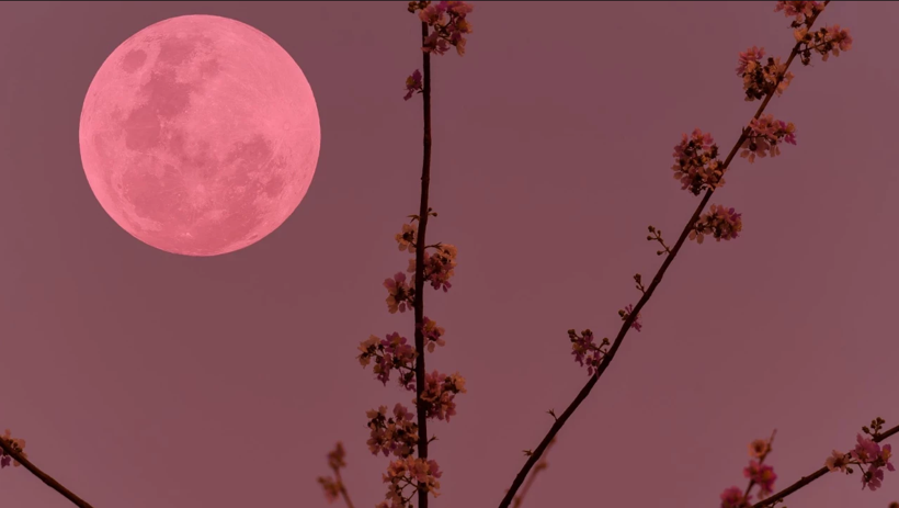 Herkes 1 Nisan gecesi g&ouml;ky&uuml;z&uuml;ne bakacak: Dolunay pembeye b&uuml;r&uuml;necek, T&uuml;rkiye&rsquo;den g&ouml;r&uuml;lecek mi? - Resim : 1