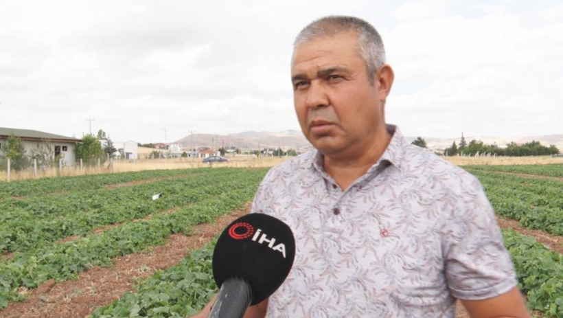 5 kilosu 900 lira: Çubuk turşusu bu sene de Ankara’nın dünyaya açılan kapısı olacak - Resim: 5