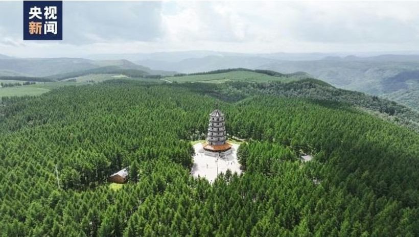 Çin’den çölde tarım hamlesi: Buğday üretimi yayılıyor - Resim : 3