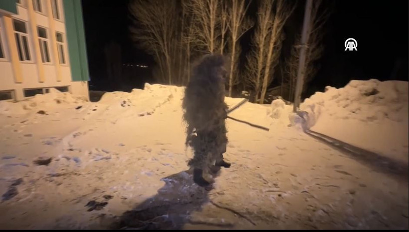 Van köylerinde kışın en renkli oyunu: Köse-Gelin diriliyor - Resim: 15