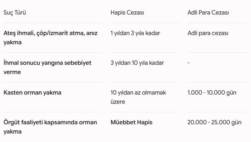 Ormanlarda kırmızı alarm: Yapay zeka devrede, insan hatasına ceza yağacak - Resim : 1