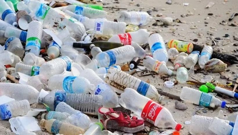 Tanesi 3 liradan topladı, Toplam 1.5 milyon lira kazanç elde etti: Ev peşinatını ödedi - Resim: 7