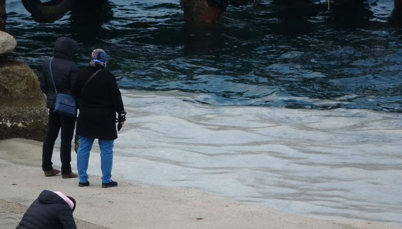 “Marmara ölü değil ama ağır hasta”: Müsilajın esas nedeni açıklandı - Resim: 2