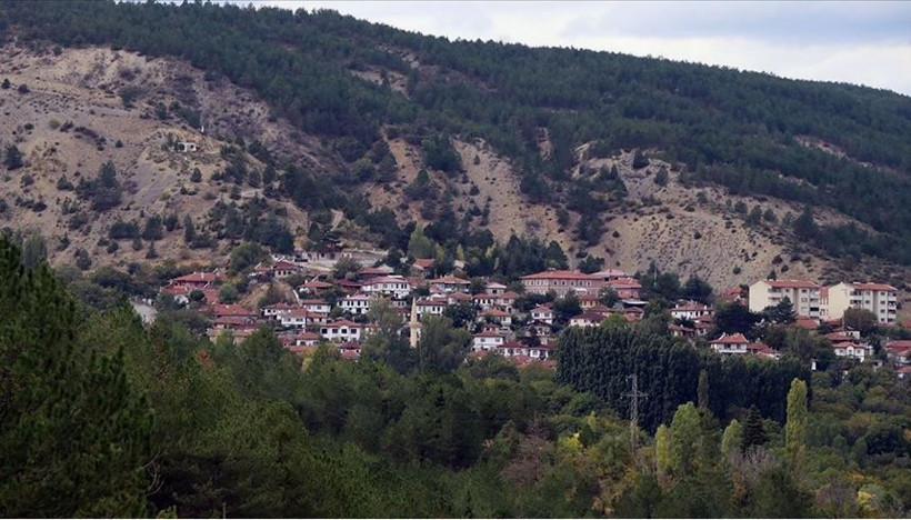 Türkiye'nin en fakir 15 ilçesi belli oldu: TÜİK verileriyle gerçekler ortaya çıktı - Resim: 4