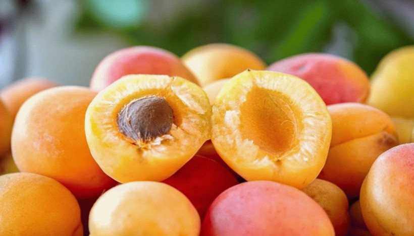 Kayseri pastırması AB’den coğrafi işaret tescili aldı - Resim: 11