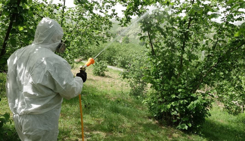 Doğu Karadeniz’den sevindirici haber: "50 yıl çıkmaz" denmişti - Resim: 10