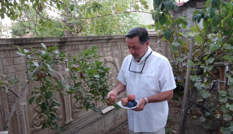 200 yıllık geçmişiyle tek bir ilçeye özgüydü: İlk yıldan ürün verdi - Resim: 6