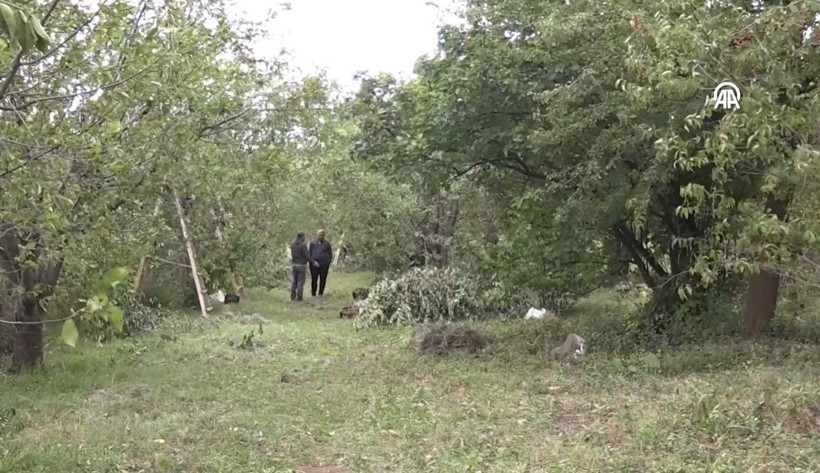 Mühendisin tavsiyesiyle başladı: Bu yıl 3 ton hasat edecek - Resim: 2