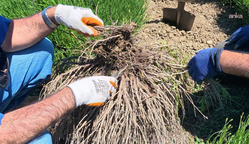 Üreticiyi şaşkına çeviren tablo: 5 yıllık stok ellerinde kaldı - Resim: 6