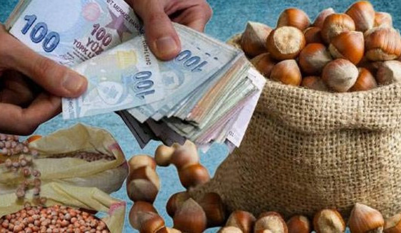 İYİ Parti’den çiftçiye: 'Kotayı kaldırıp fındığı 310 TL’den peşin alacağız' - Resim : 1