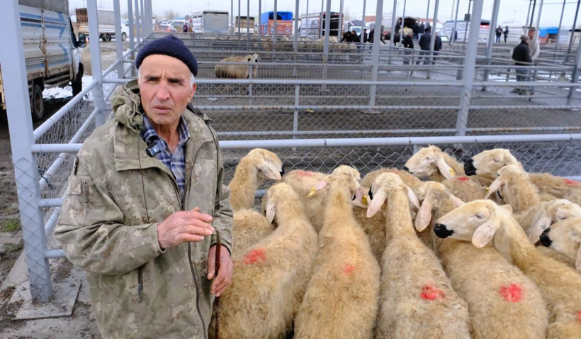 Kurban piyasasında fiyatlar belli oldu: Besicilerden kritik uyarı - Resim: 5