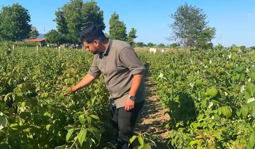 Kaymakamlıktan vazgeçti, hasat etti: Parasını 100’e katladı - Resim: 10