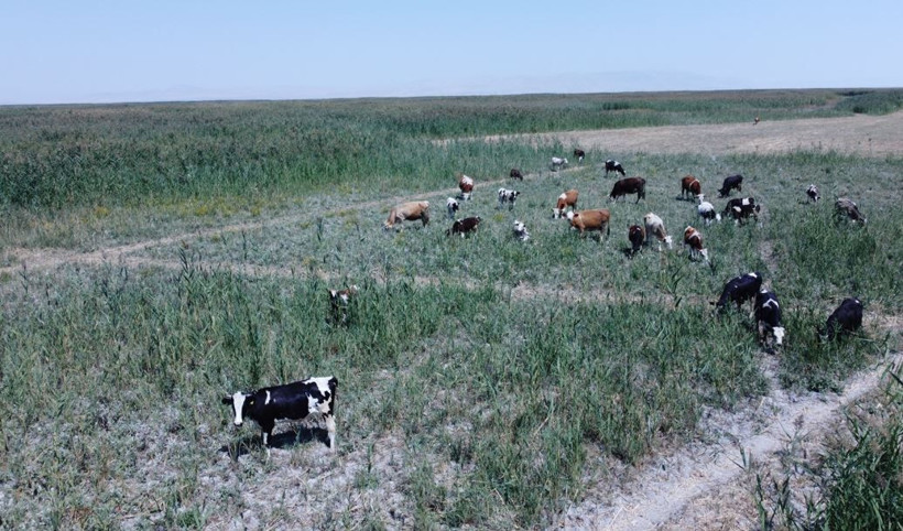 Hoca’nın mayası bu kez gerçekten tuttu: Çölleşen göl yeniden maviye büründü - Resim: 15