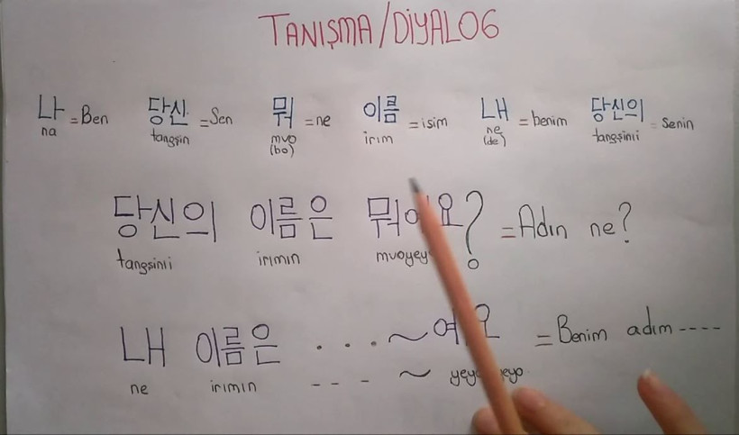 Dünyanın en zor dilleri belli oldu: Türkçe kaçıncı sırada yer alıyor? İşte güncel liste… - Resim: 13