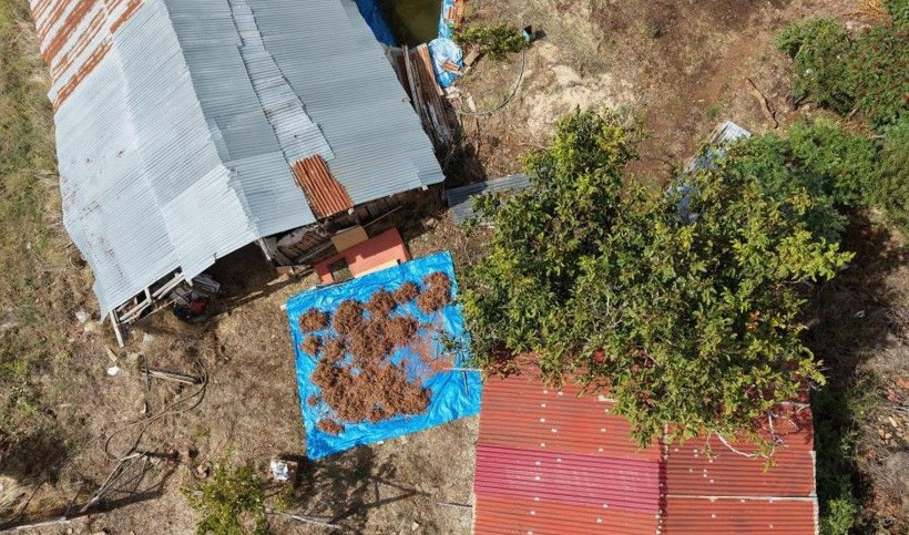 20 yıl sabretti şimdi paraya para demiyor: Kilosunu 900 TL'den satıyor - Resim: 5