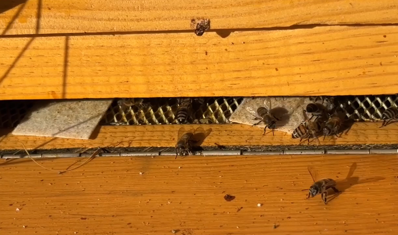 136 kovana ulaştı: Hobi olarak başladı, tescilli marka kurdu - Resim: 4
