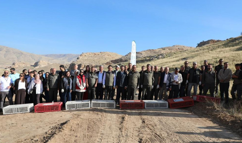Hasankeyf’te ceylan ve kınalı keklikler doğayla buluşturuldu - Resim : 1