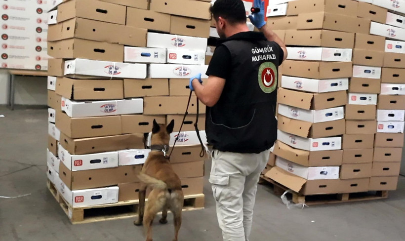 Tavukların altındaki korkunç sır: Hassas burunlar o kokuyu tespit etti - Resim: 3