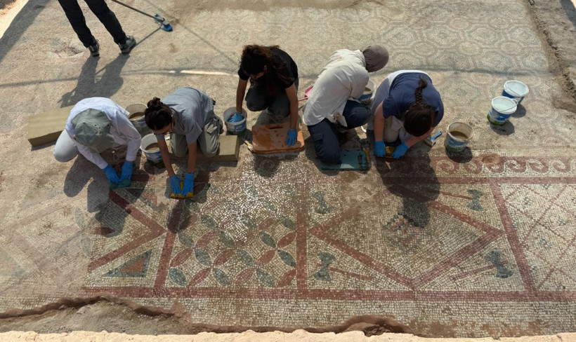 Pompeiopolis’te binlerce yıllık sürpriz: 105 metrekarelik mozaik - Resim : 2