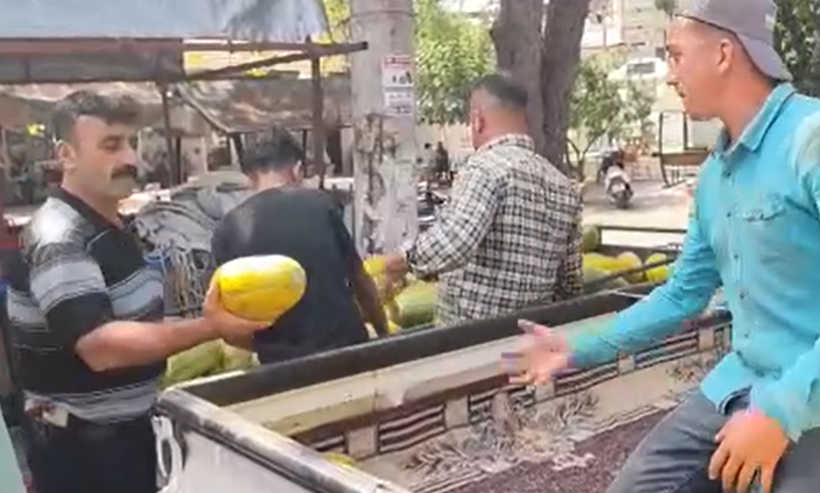 Tavan arasından çıkan efsane kavunu canlandırdı: Ata tohumu tekrar pazarda - Resim: 14