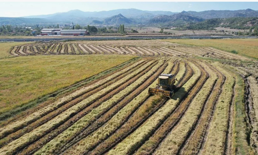 Kırsal kalkınmada yeni dönem başlıyor: Tarımda 30 milyona varan hibe desteği - Resim : 2