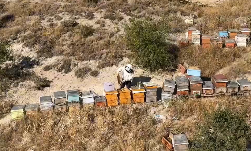 136 kovana ulaştı: Hobi olarak başladı, tescilli marka kurdu - Resim: 3