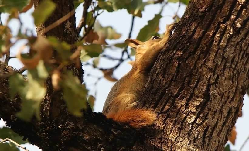 Doğaseverlerin yeni gözdesi: Bu ilçede besin sıkıntısı yok - Resim: 7