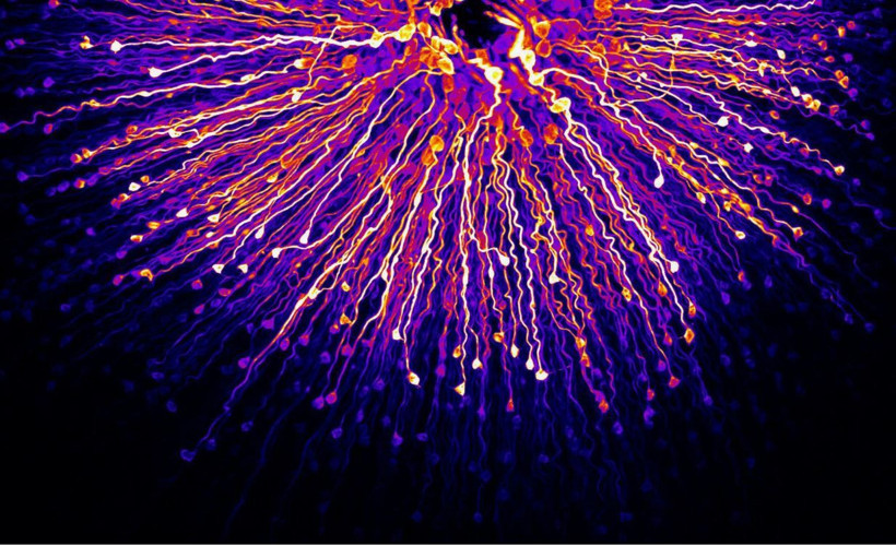 ‘Hiçlikten’ madde doğdu: Bilim insanları en güçlü kanıtı buldu - Resim: 6