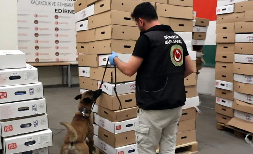 Tavukların altındaki korkunç sır: Hassas burunlar o kokuyu tespit etti - Resim: 4