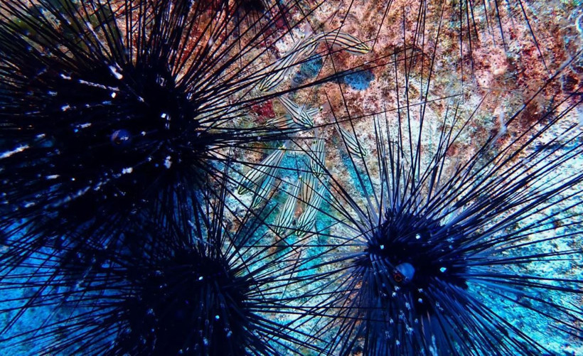 ‘Hiçlikten’ madde doğdu: Bilim insanları en güçlü kanıtı buldu - Resim: 12