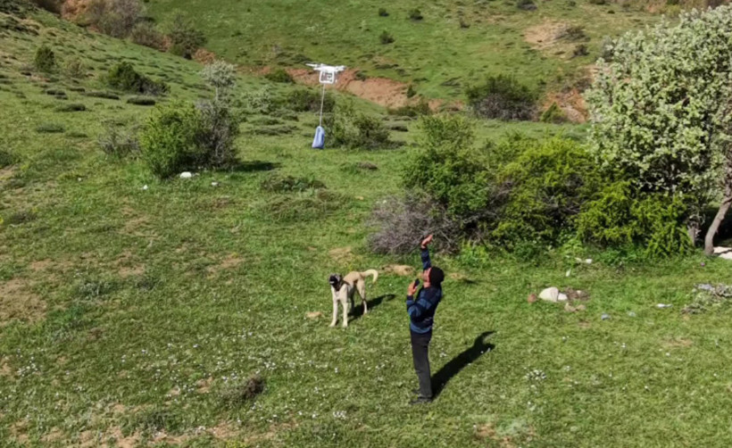 Merada hayvan otlatırken tepelerinde belirdi: Çobanlara dijital sürpriz - Resim : 1