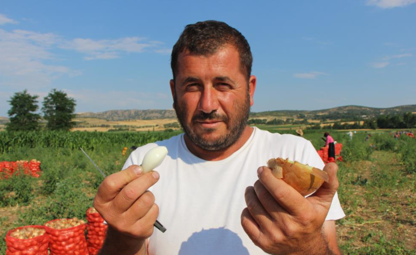 “Kırmızı altın” olarak bilinirdi: Şimdi kilosu bir bardak çaydan ucuz - Resim: 5