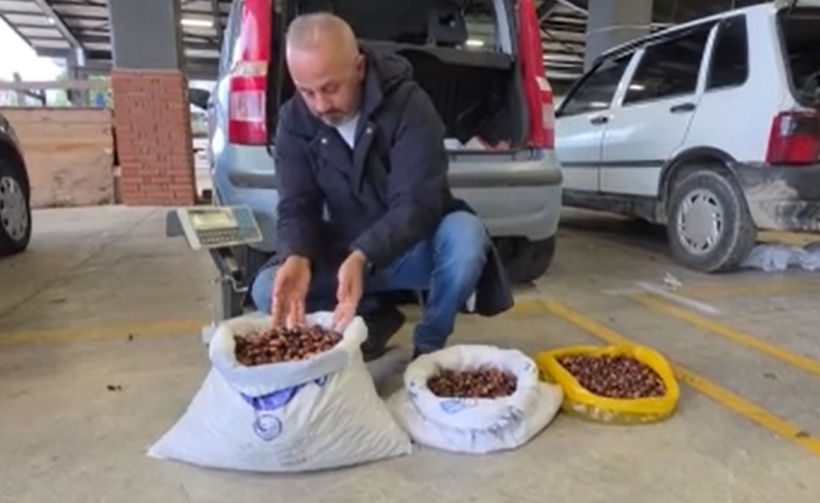 Tescilli üründe bu sene bereket var: Kilosu 300 lira - Resim: 9