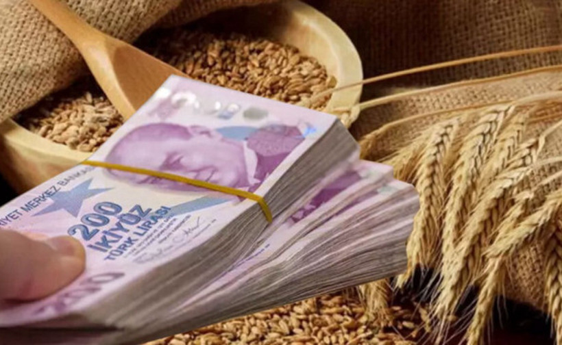 Karadeniz'de ateşkes umudu buğday fiyatlarını vurdu - Resim : 3