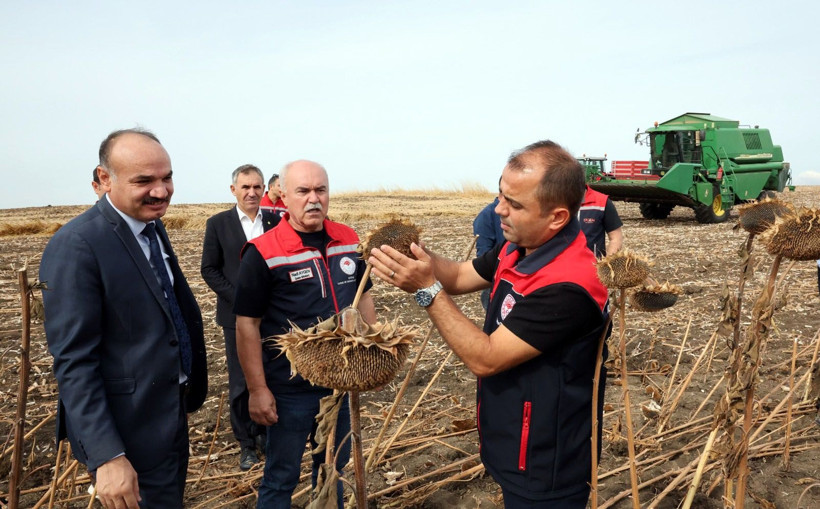 Trakya’da altın değerinde kritik bir adım atıldı - Resim: 2
