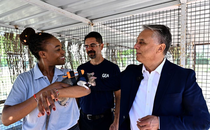 Fareler devrede: Enkazdan sızıp sinyal yayacaklar - Resim : 3