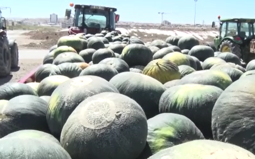 Su istemiyor, 50 ton bekleniyor: Tek bir ile özgü - Resim: 13