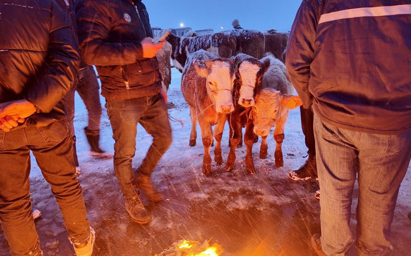 Dondurucu soğuk ticareti vurdu: Şarkışla’da ateş başında bekleyiş - Resim : 2