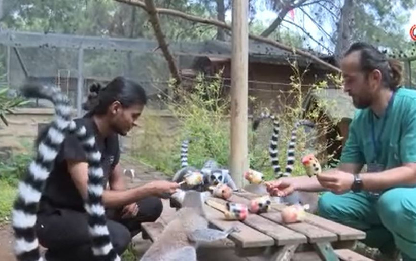 Termometreler çıldırdı: Bakıcılar harekete geçti: İşte parktaki lüks diyet - Resim: 12