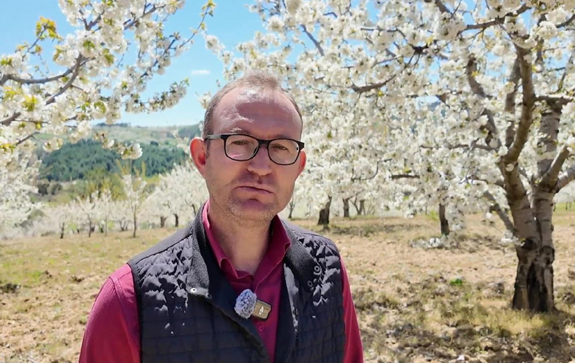 Dünya sofralarının gözdesi bu ağaçlarda - Resim: 9