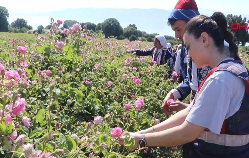 Vali sepetini aldı, bahçeye indi: Burdur’da masalsı hasat başladı - Resim: 12