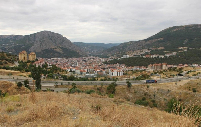 Buketi 150 TL'ye yok satıyor: Nazar için alıyorlar - Resim: 4