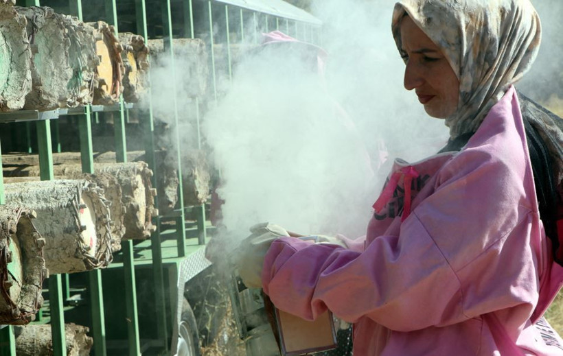 Bakteri ve virüslere karşı kalkan: ‘Pembe maskeli’ kadınlar kolları sıvadı - Resim: 8