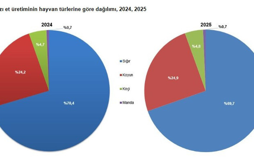 Kırmızı et üretimi çakıldı: TÜİK'ten kurban bayramı öncesi kötü haber - Resim : 3