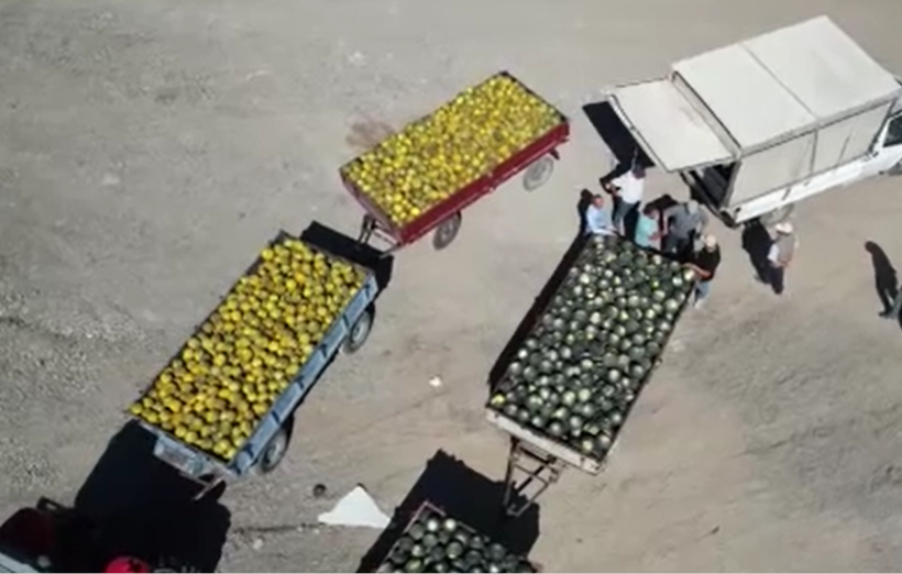 Su istemiyor, 50 ton bekleniyor: Tek bir ile özgü - Resim: 8