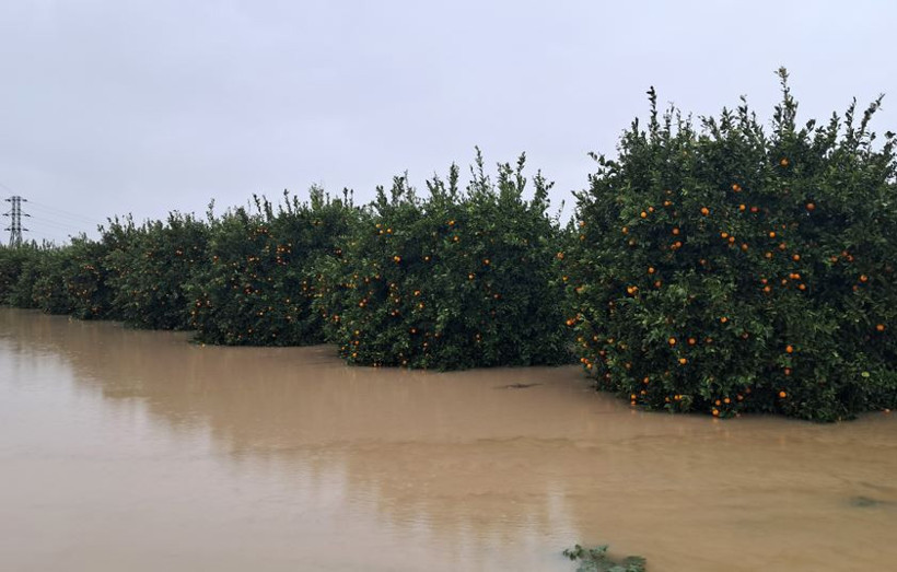 Antalya&rsquo;da yağmur hayatı fel&ccedil; etti: Cadde ve sokaklar g&ouml;le d&ouml;nd&uuml; - Resim : 10
