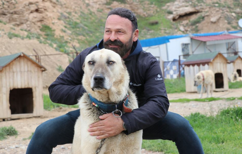 Yetiştiriciler alarm verdi: Kangallar depresyona girdi - Resim : 1