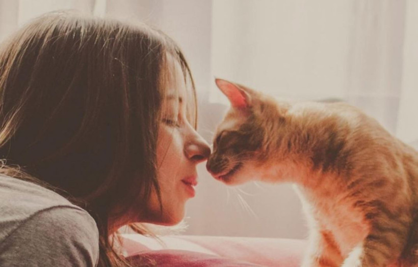 Kedilerin kanseri insan tedavisine ışık tutuyor - Resim : 3